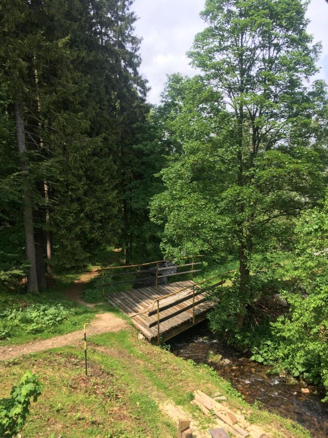 Penzion&Restaurant Pod Čerťákem Hotel Harrachov Bagian luar foto