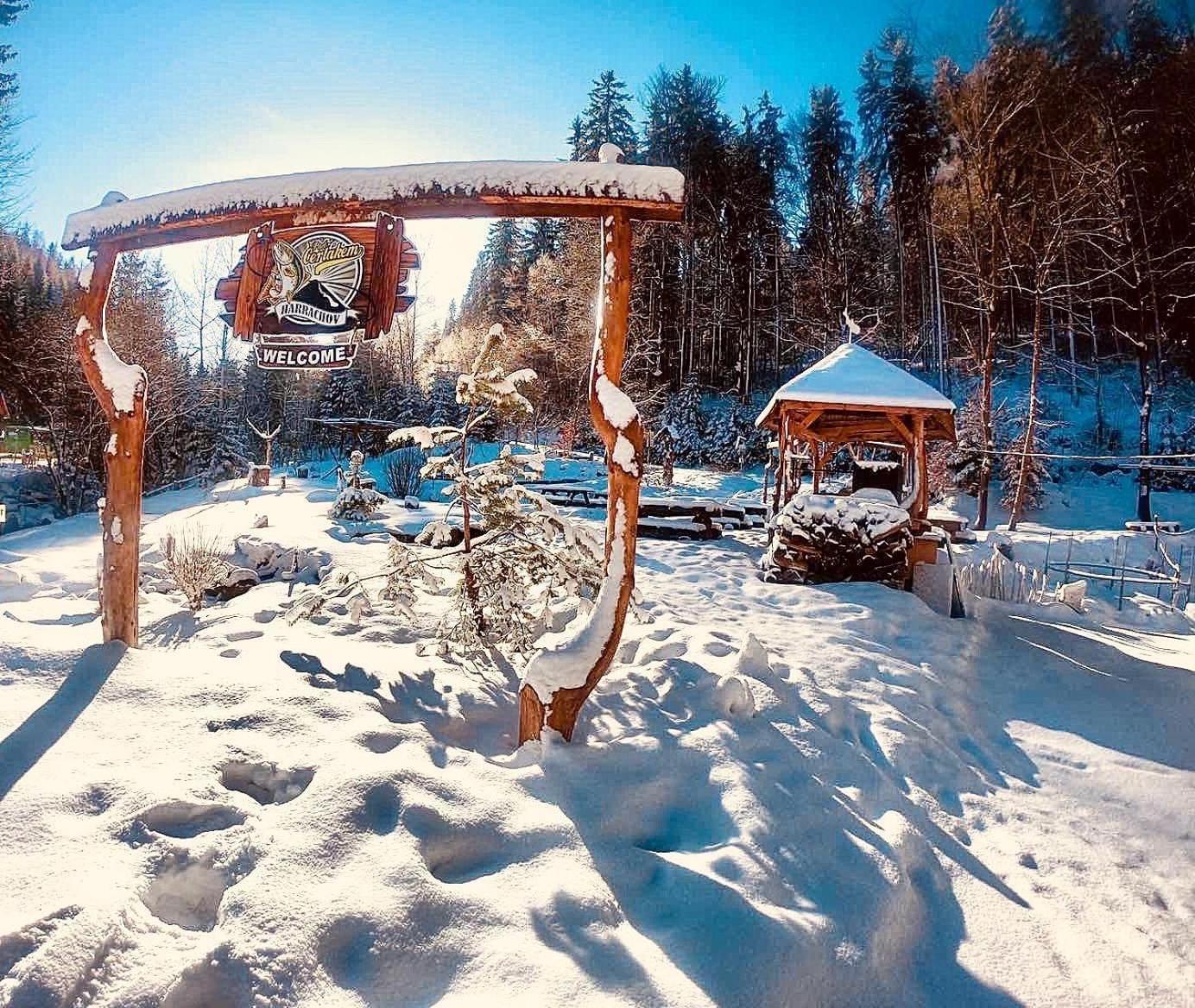 Penzion&Restaurant Pod Čerťákem Hotel Harrachov Bagian luar foto