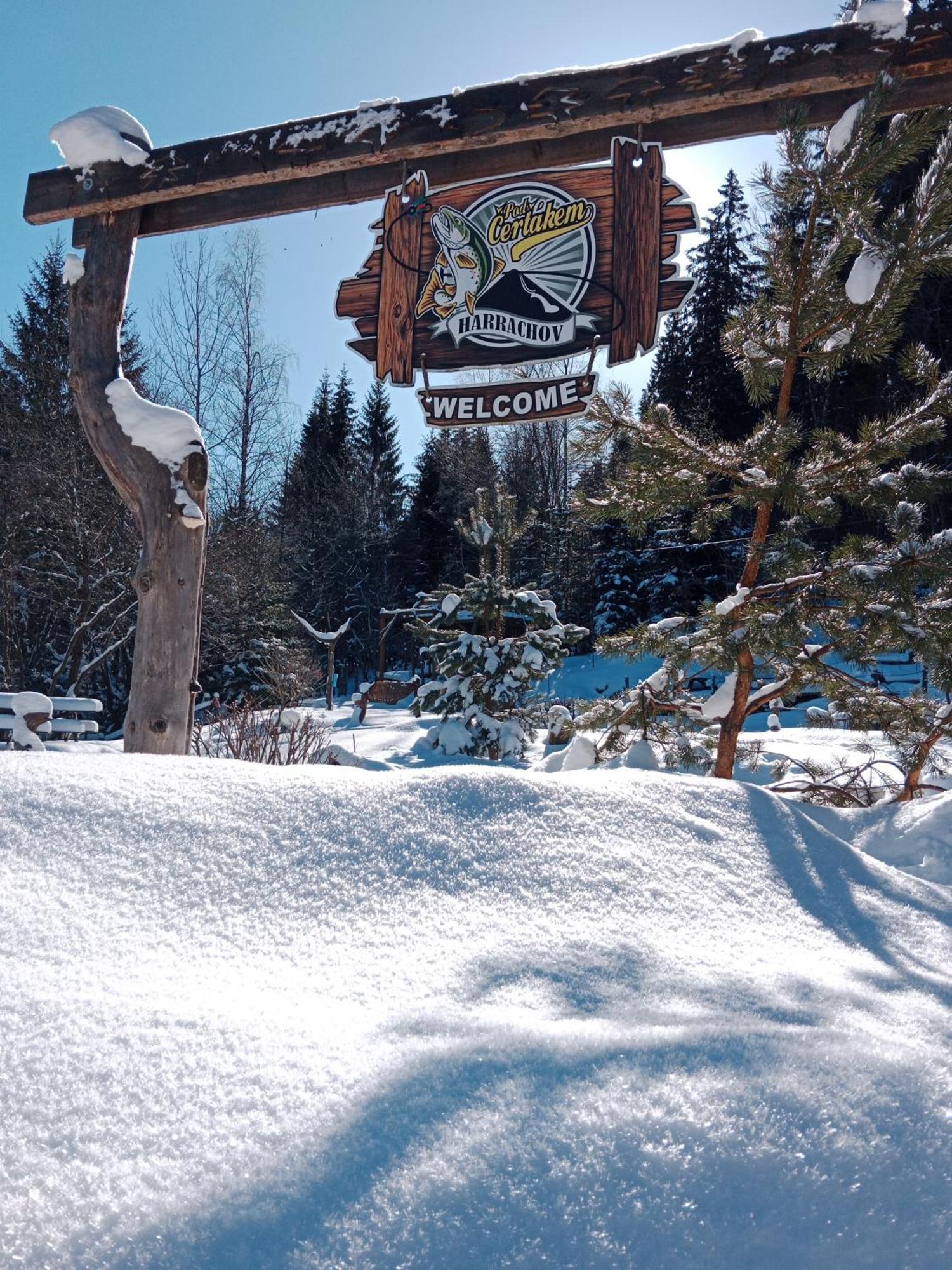 Penzion&Restaurant Pod Čerťákem Hotel Harrachov Bagian luar foto