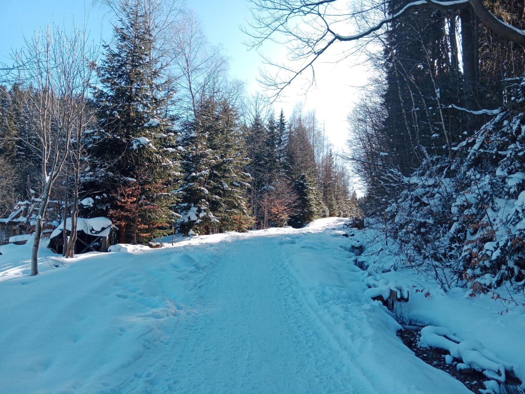 Penzion&Restaurant Pod Čerťákem Hotel Harrachov Bagian luar foto